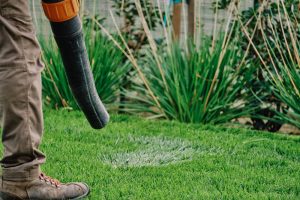 Servizi giardinaggio - manutenzione