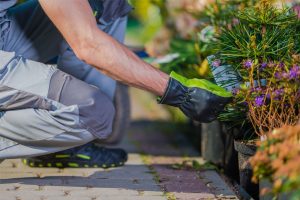 Servizi giardinaggio - progettazione